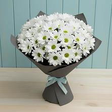 Букет цветов из:  Хризантемы в Стрежевом