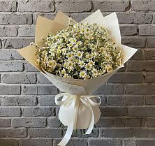 Букет цветов из:  Ромашки в Стрежевом