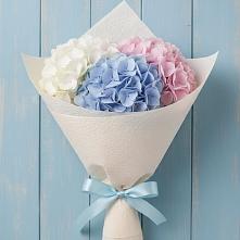 Букет цветов из:  Гортензия в Стрежевом