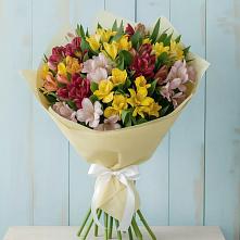 Букет цветов из:  Альстромерии в Стрежевом