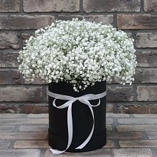 Цветочная композиция из Гипсофила в шляпной коробке в Стрежевом