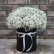 Цветочная композиция из Гипсофила в шляпной коробке в Стрежевом