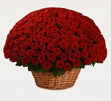 Премиум букет из: Розы в Стрежевом