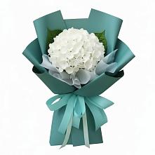 Букет цветов из:  Гортензия в Стрежевом